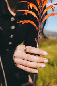 Brass Ring