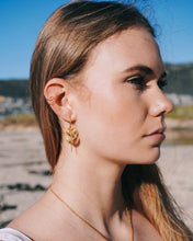 Load image into Gallery viewer, Gold Plated Earring

