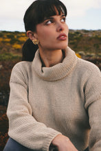Load image into Gallery viewer, Gold Plated Earring
