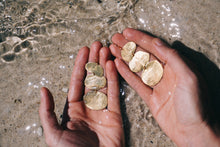 Load image into Gallery viewer, Gold Plated Earring
