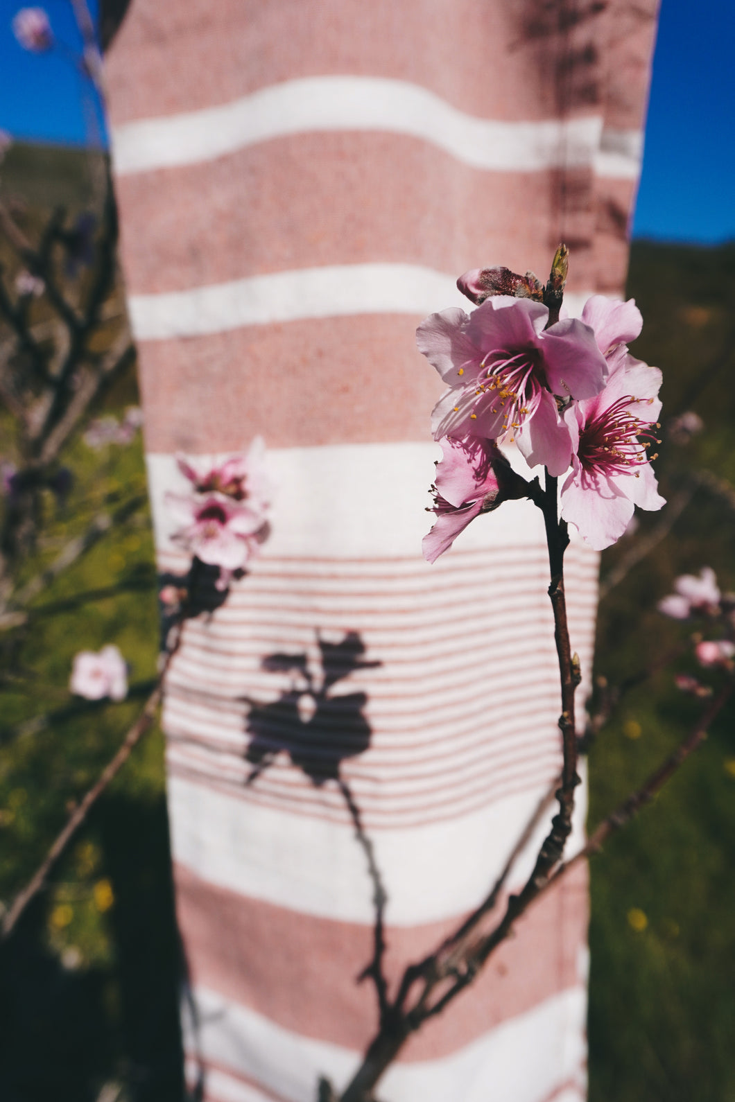 Kikoi: Dusty Rose