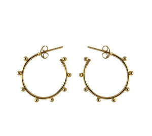 Gold Plated Silver Earrings