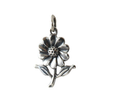 Load image into Gallery viewer, Sterling Silver Pendant
